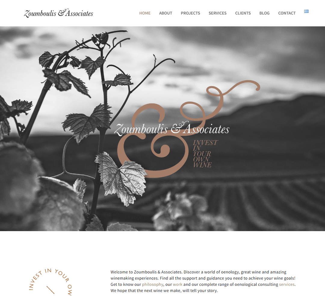 zoumboulis.com